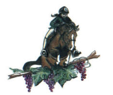 Horseback Riding in Placerville Logo