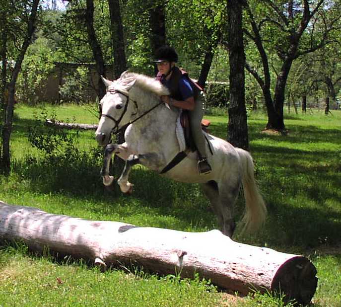 pony jumping